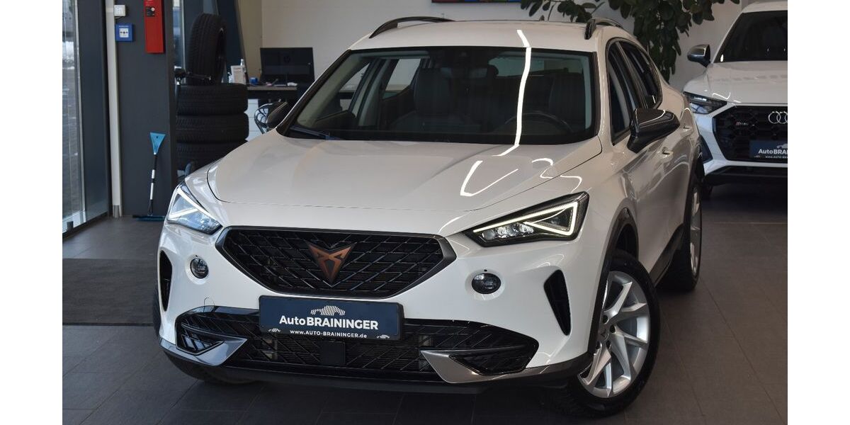 Cupra Formentor 127.289 km 18.550 &euro; Altdorf/Landshut 84032