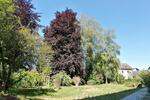 Etagenwohnung Landshut Landshut-West - 3 Zimmer, 73 m&sup2;, 930&euro; | Angebot:26614101