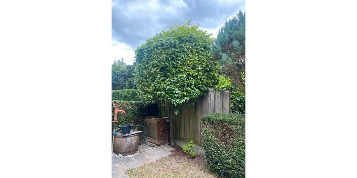 Doppelhaushälfte Moosburg an der Isar - 6 Zimmer, 191 m&sup2;, 585.000&euro; | Angebot:26960816