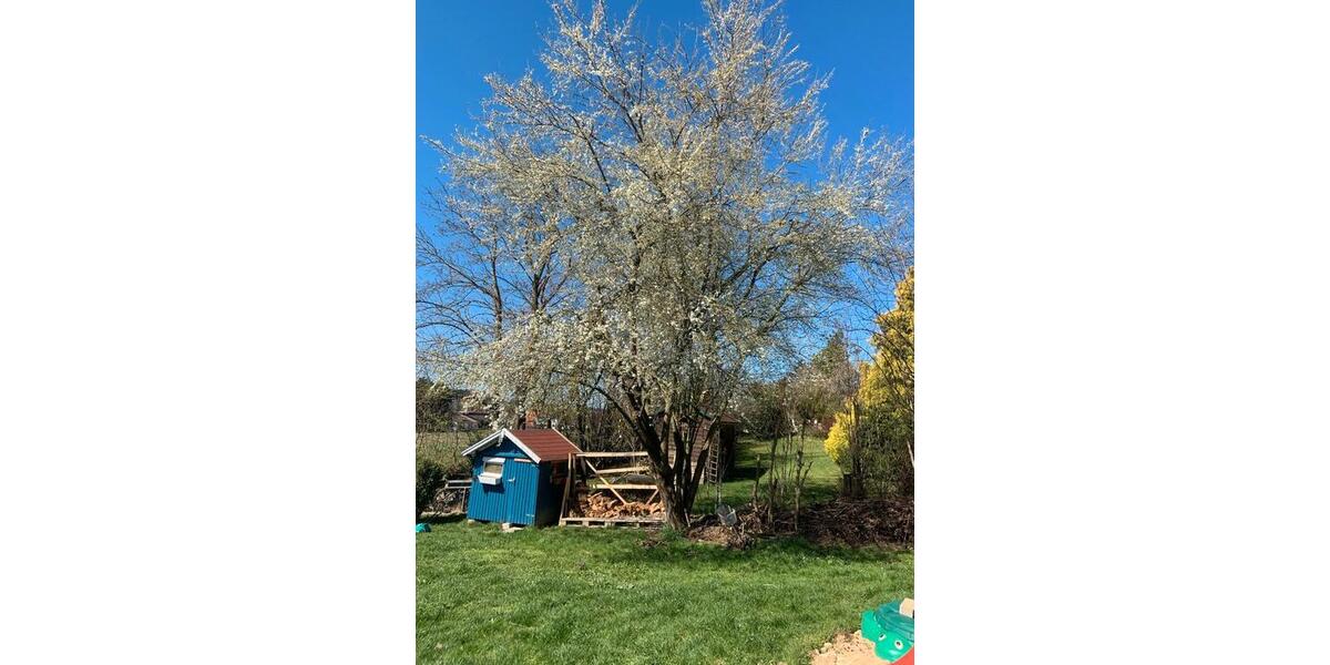 Einfamilienhaus Vilsbiburg - 5 Zimmer, 138 m&sup2;, 640.000&euro; | Angebot:25404530