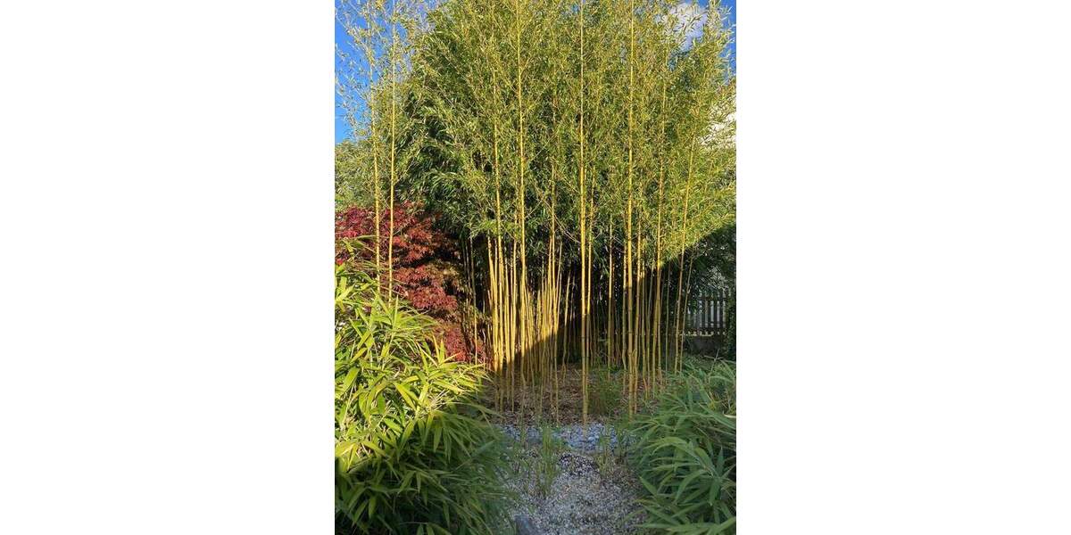 Einfamilienhaus Furth Arth - 7 Zimmer, 172 m&sup2;, 690.000&euro; | Angebot:25668843