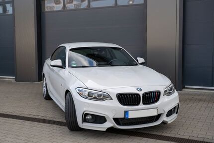 BMW 225 221.500 km 13.900 &euro; Adlkofen 84166
