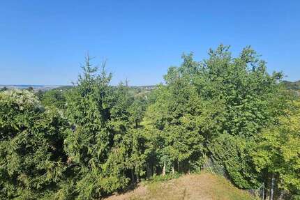 Haus Landshut Auloh - 6 Zimmer, 180 m&sup2;, 895.000&euro; | Angebot:27253549