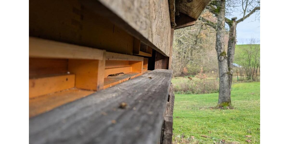 Mehrfamilienhaus, Wohnhaus Dorfen - 1.400.000&euro; | Angebot:23582582