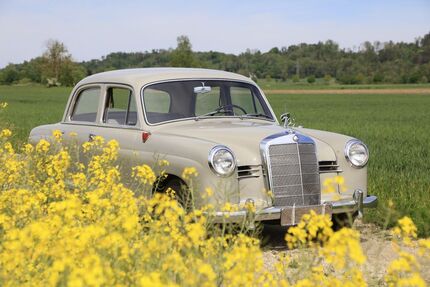 Mercedes-Benz 190 39.900 km 29.900 &euro; Buch am Erlbach 84172