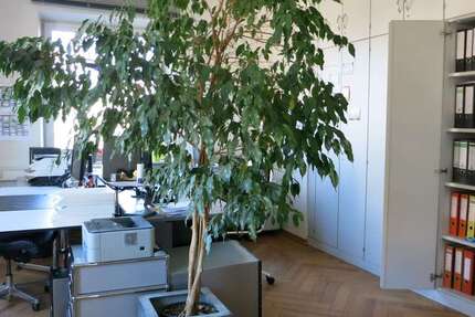 Gewerbeobjekt Landshut Nikola - 417&euro; | Angebot:24637728