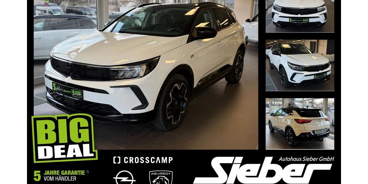 Opel Grandland (X) 30.859 km 19.990 &euro; Landshut 84034