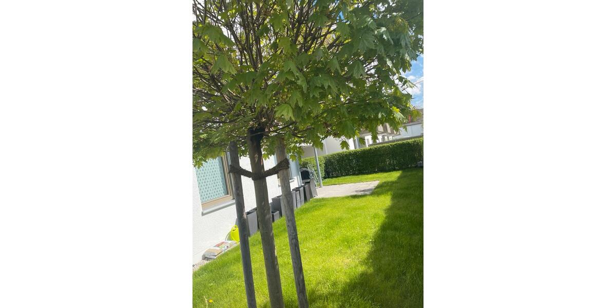 Erdgeschoßwohnung Landshut Landshut-West - 3 Zimmer, 79 m&sup2;, 1.380&euro; | Angebot:25456468