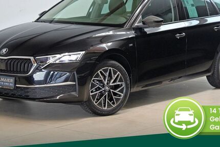 Skoda Octavia 20.554 km 34.970 &euro; Eching i. Ndb. 84174