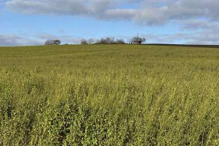 Grundstück Weng / Hinzlbach Hinzlbach - 890.892&euro; | Angebot:23033167