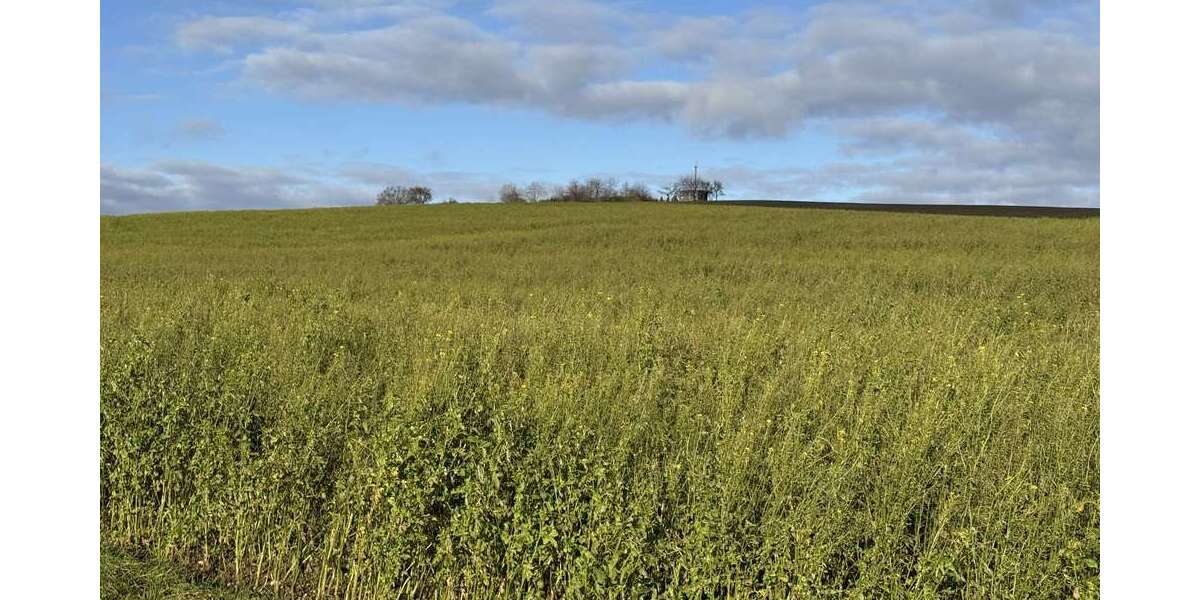 Grundstück Weng / Hinzlbach Hinzlbach - 890.892&euro; | Angebot:23033167