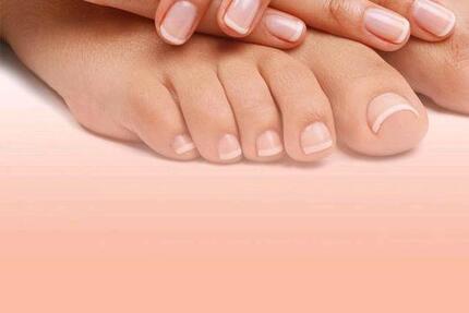 Gewerbeobjekt Altdorf - 500&euro; | Angebot:25524206