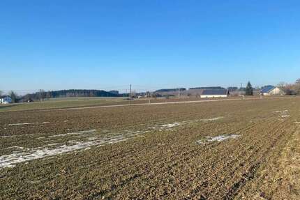 Grundstück Bockhorn - 300.000&euro; | Angebot:24898791