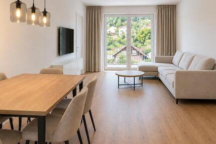 Wohnung Mallersdorf-Pfaffenberg Pfaffenberg - 3 Zimmer, 58 m&sup2;, 775&euro; | Angebot:27562839