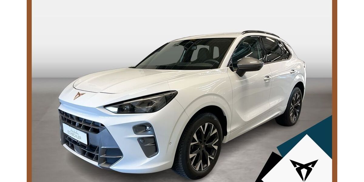 Cupra Terramar 25.528 km 35.349 &euro; Landshut 84030
