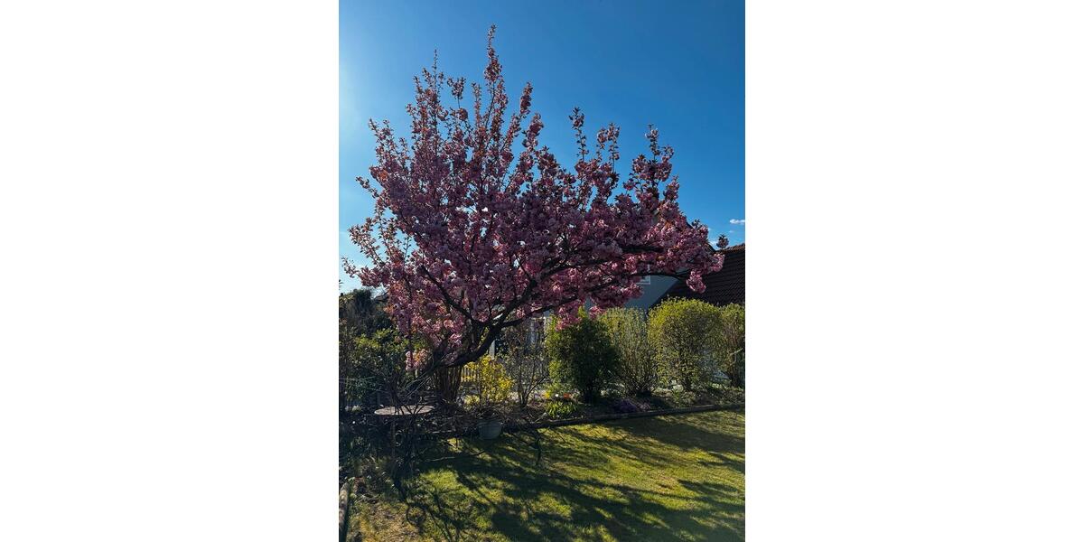 Einfamilienhaus Moosburg an der Isar - 6 Zimmer, 133 m&sup2;, 795.000&euro; | Angebot:26862908