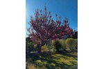 Einfamilienhaus Moosburg an der Isar - 6 Zimmer, 133 m&sup2;, 795.000&euro; | Angebot:26862908