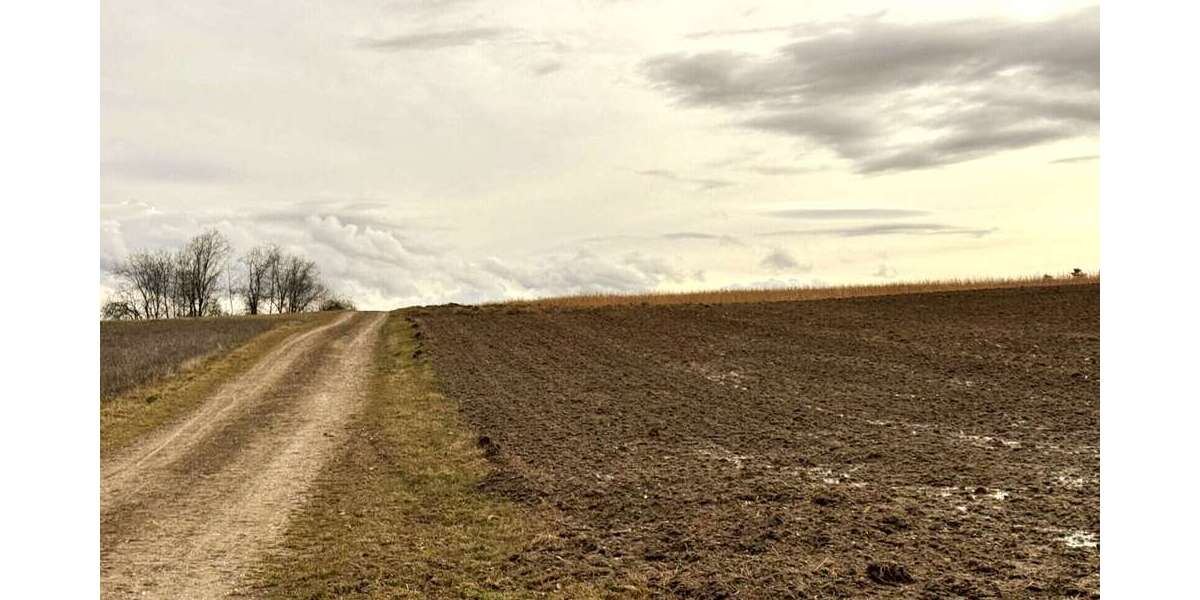 Grundstück Pfeffenhausen / Oberlauterbach Oberlauterbach - 373.050&euro; | Angebot:25252671