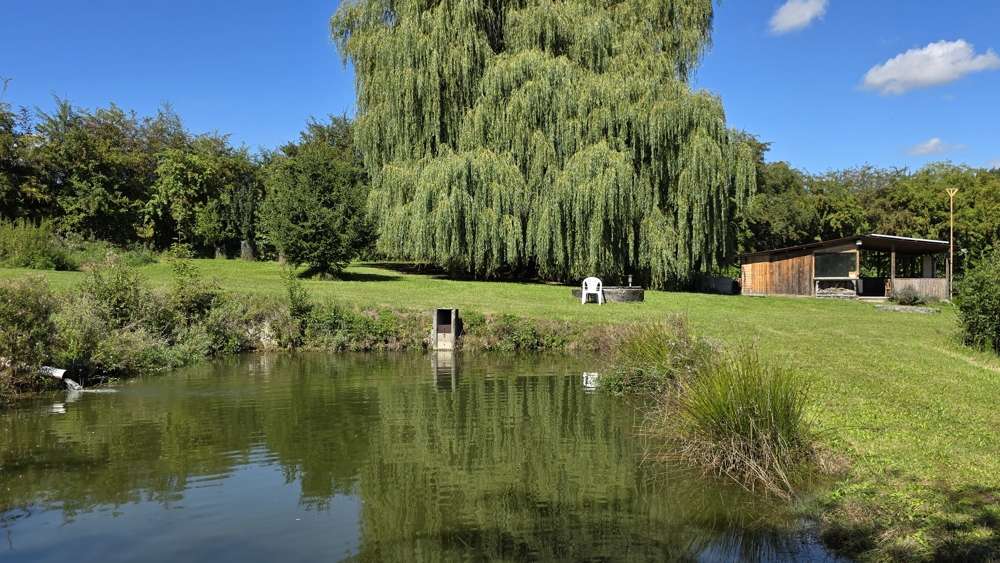 Grundstück Altdorf / Eugenbach Eugenbach - 269.000&euro; | Angebot:22776484