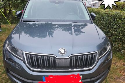 Skoda Kodiaq 113.600 km 27.999 &euro; Wildenberg 93359