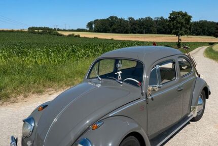 VW Käfer 46.011 km 22.999 &euro; Mallersdorf/Pfaffenberg 84066