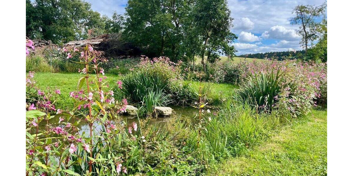 Bauernhaus, Landhaus Pfeffenhausen Ebenhausen - 1 Zimmer, 400 m&sup2;, 700.000&euro; | Angebot:25740307