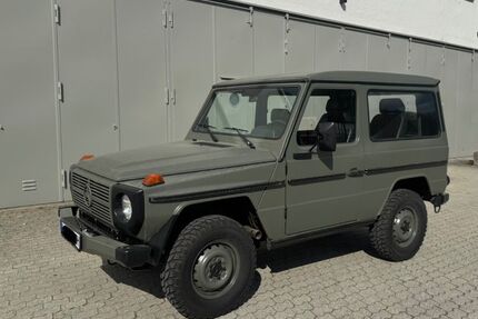 Mercedes-Benz G 250 65.044 km 45.000 &euro; Landshut 84034