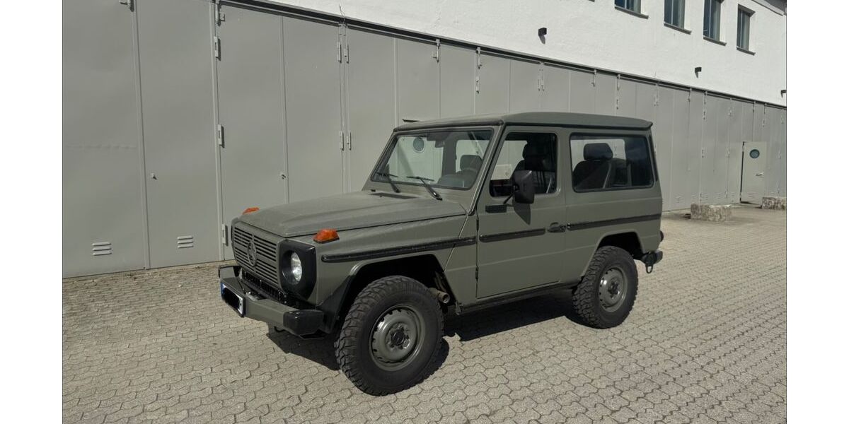 Mercedes-Benz G 250 65.044 km 45.000 &euro; Landshut 84034
