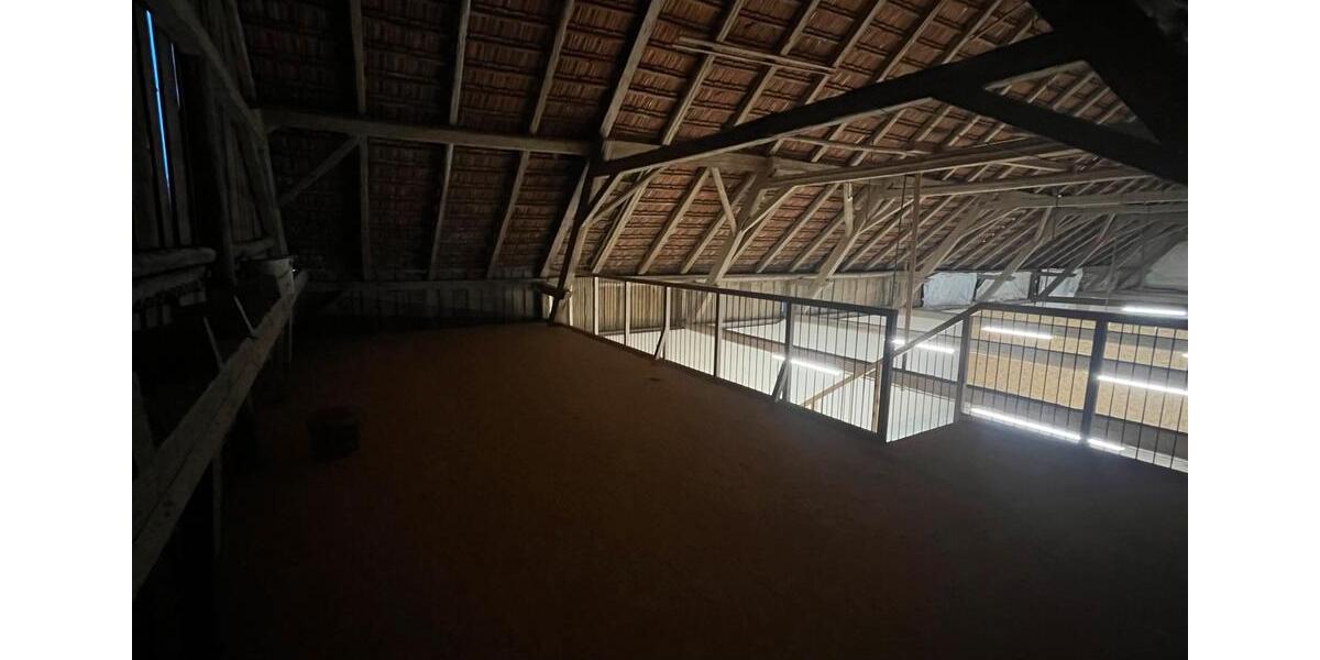 Gewerbeobjekt Hohenthann - 800&euro; | Angebot:25992172