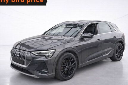 Audi e-tron 80.079 km 32.899 &euro; Ergolding 84030
