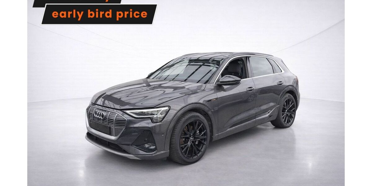 Audi e-tron 80.079 km 32.899 &euro; Ergolding 84030