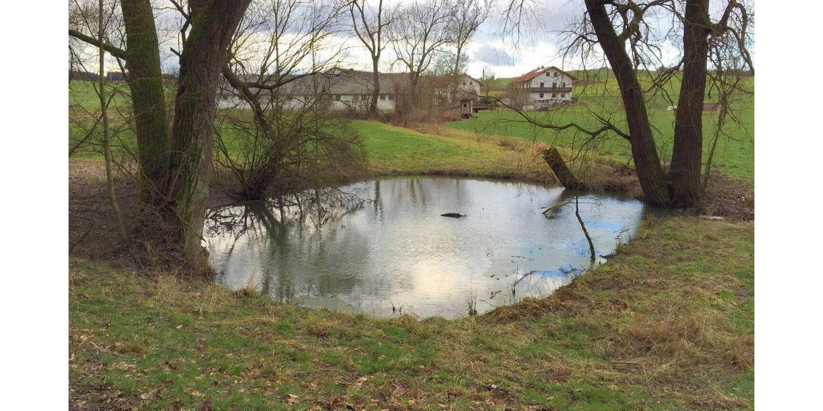 Bauernhaus, Landhaus Adlkofen Birnkofen - 3 Zimmer, 60 m&sup2;, 145.000&euro; | Angebot:26037072