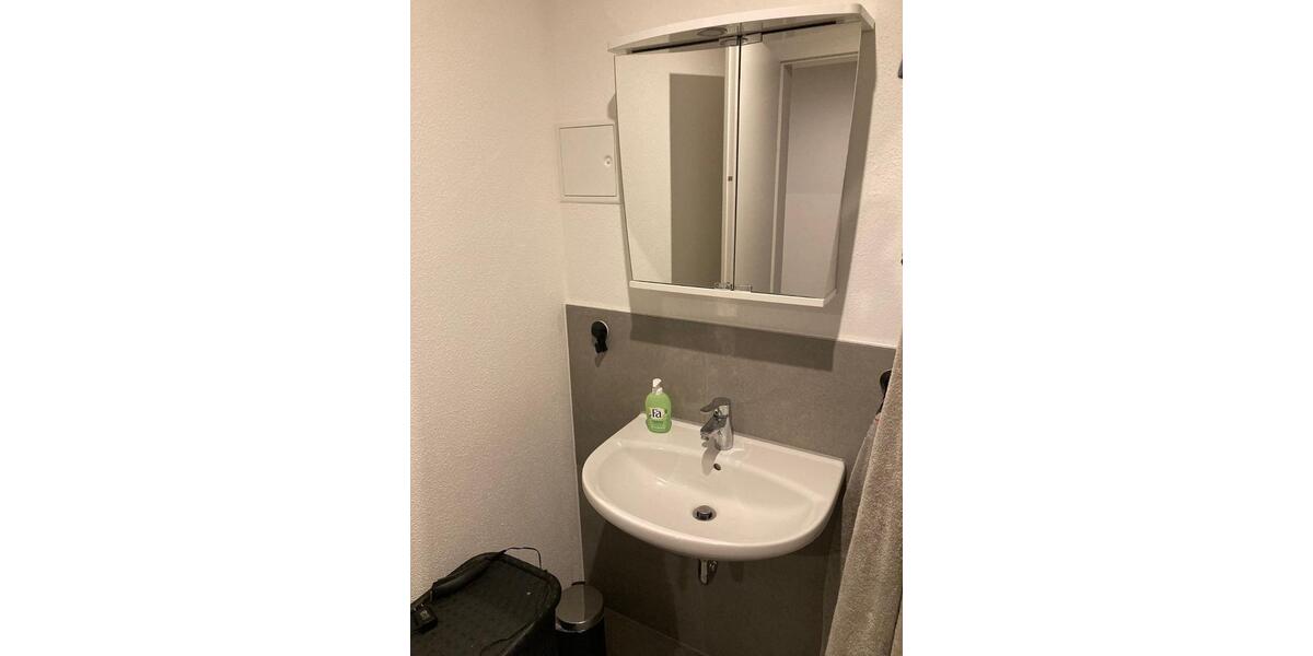 Etagenwohnung Vilsheim - 1 Zimmer, 50 m&sup2;, 540&euro; | Angebot:24953193