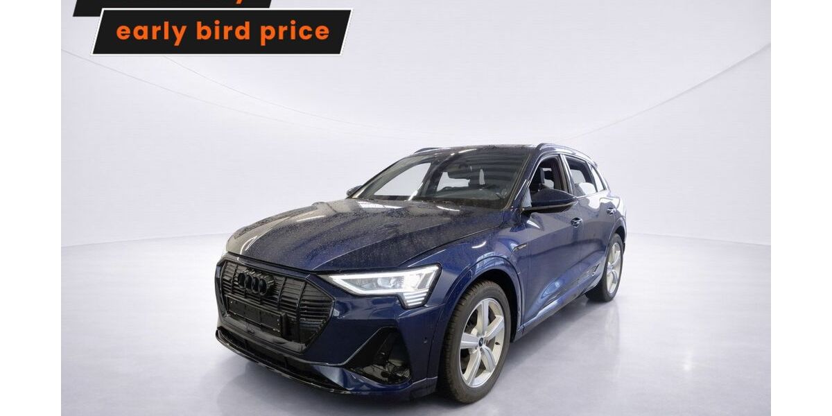 Audi e-tron 36.704 km 35.999 &euro; Ergolding 84030