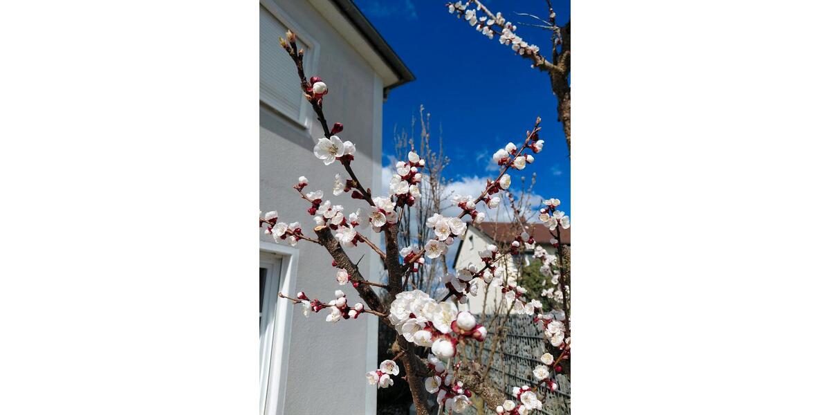 Einfamilienhaus Ergolding - 4 Zimmer, 128 m&sup2;, 789.000&euro; | Angebot:27262390