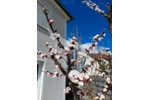 Einfamilienhaus Ergolding - 4 Zimmer, 128 m&sup2;, 789.000&euro; | Angebot:27262390