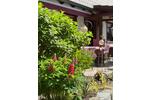 Einfamilienhaus Ergoldsbach Langenhettenbach - 5 Zimmer, 138 m&sup2;, 1.210.000&euro; | Angebot:27153648