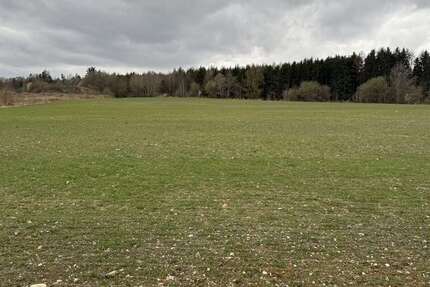 Grundstück Moosthenning / Lengthal Lengthal - 353.794&euro; | Angebot:26017021