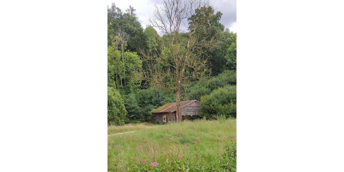 Einfamilienhaus Adlkofen - 3 Zimmer, 60 m&sup2;, 145.000&euro; | Angebot:26047694