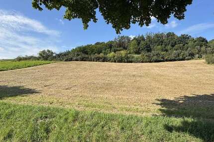 Grundstück Weng Hinzlbach - 71.253&euro; | Angebot:23033161