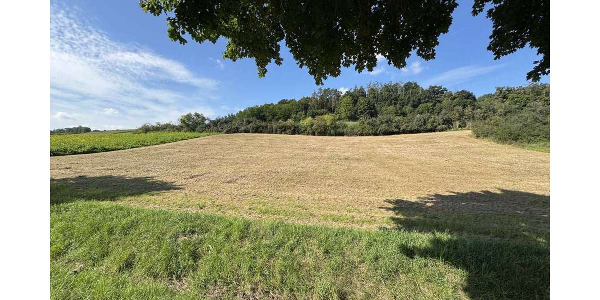 Grundstück Weng Hinzlbach - 71.253&euro; | Angebot:23033161