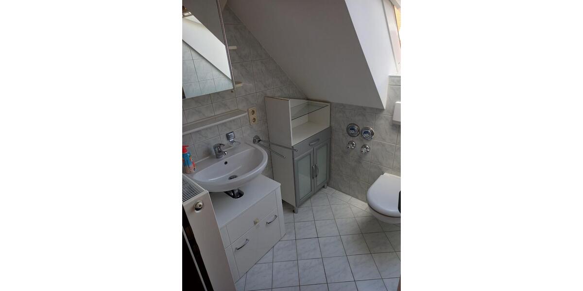 Dachgeschoßwohnung Pfeffenhausen - 1 Zimmer, 27 m&sup2;, 350&euro; | Angebot:25964477