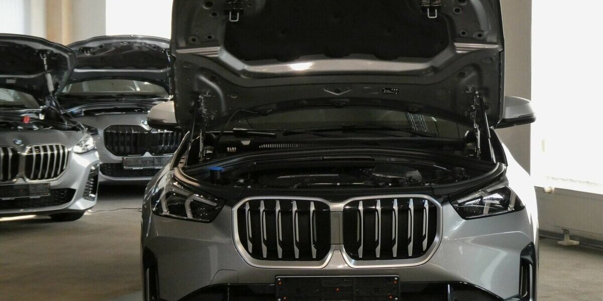 BMW X1 20d xDrive x-Line AHK,Leder,Driv.Ass.Plus 19.600 km 38.990 &euro; Landshut 84030