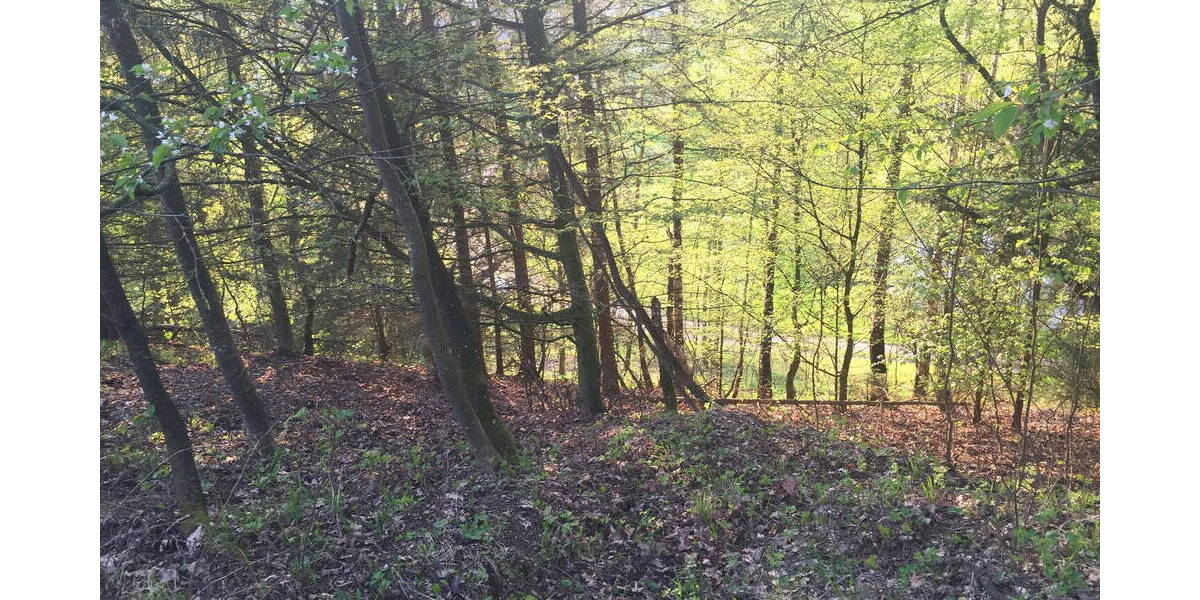 Bauernhaus, Landhaus Adlkofen Birnkofen - 3 Zimmer, 60 m&sup2;, 145.000&euro; | Angebot:26037072