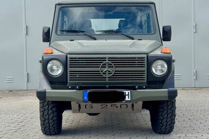 Mercedes-Benz G 250 65.044 km 45.000 &euro; Landshut 84036