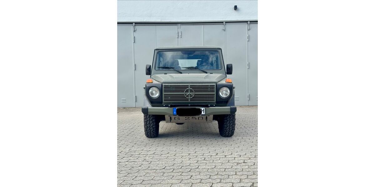 Mercedes-Benz G 250 65.044 km 45.000 &euro; Landshut 84036