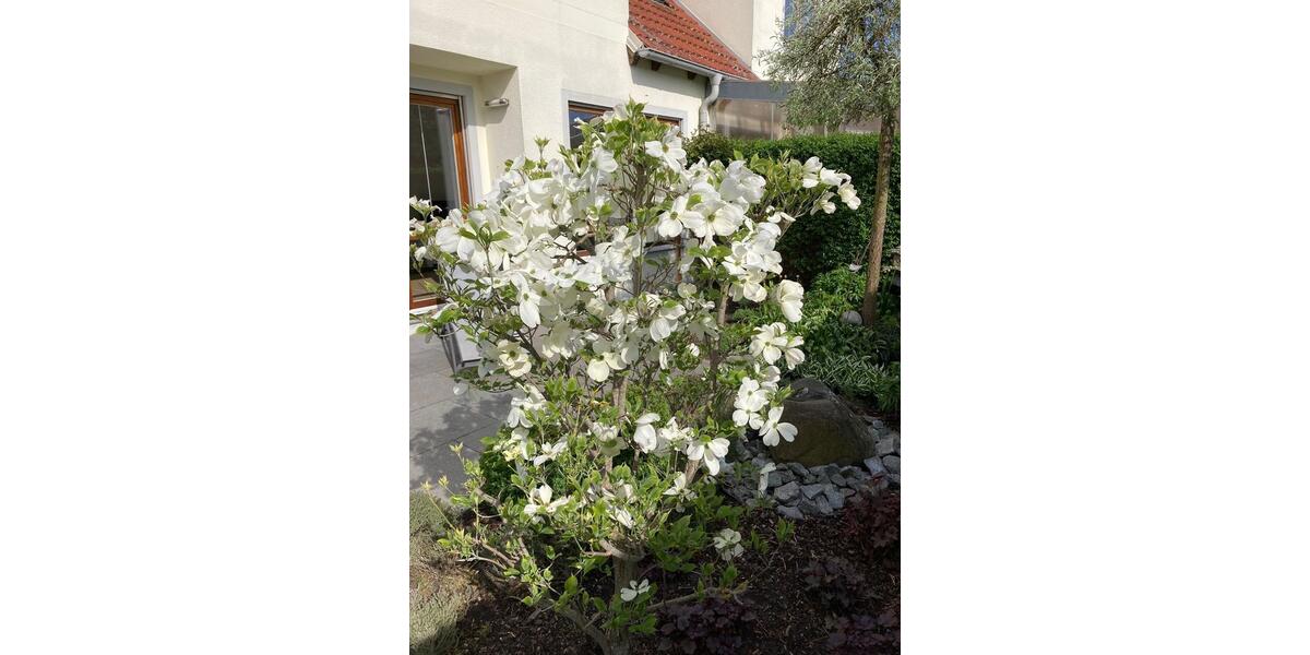 Reihenhaus Essenbach - 4 Zimmer, 101 m&sup2;, 450.000&euro; | Angebot:25959183