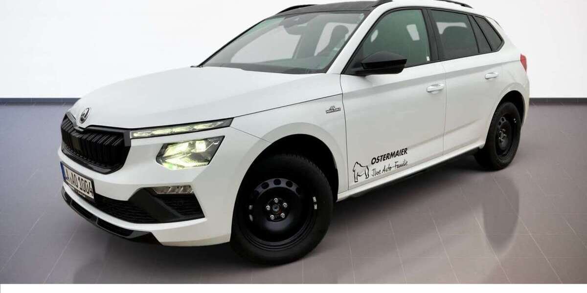 Skoda Kamiq 4.500 km 30.490 &euro; Landshut 84034