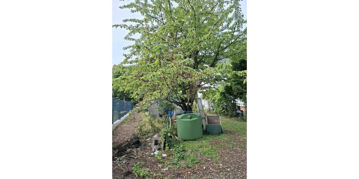 Doppelhaushälfte Altdorf - 7 Zimmer, 150 m&sup2;, 500.000&euro; | Angebot:25404527