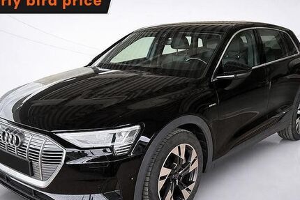 Audi e-tron 169.699 km 24.943 &euro; Ergolding 84030
